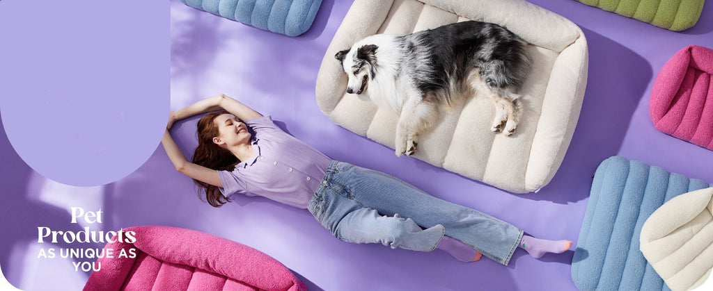 Amazon Bestselling Pet All-Season Sofa Bed Cushion Rectangular Lamb Wool Cat Bed Dog Bed Sofa Cushion