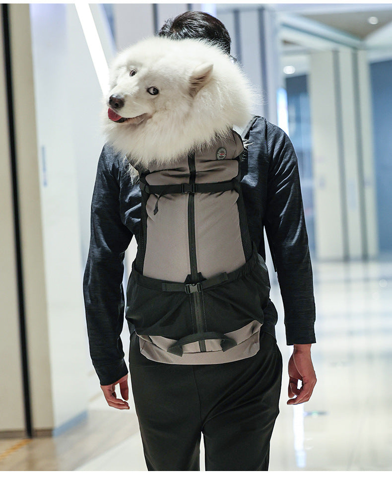 Portable Breathable Dog Backpack Scratch-Resistant Pet Bag Outdoor Pet Backpack Foldable Breathable Medium and Large Dog Bag