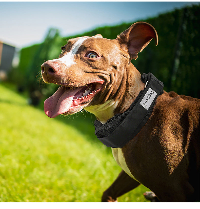 Dog Weighted Exercise Collar Multi-Functional Explosion-Proof Collar Weight Training Collar Large Dog Weighted Training Collar