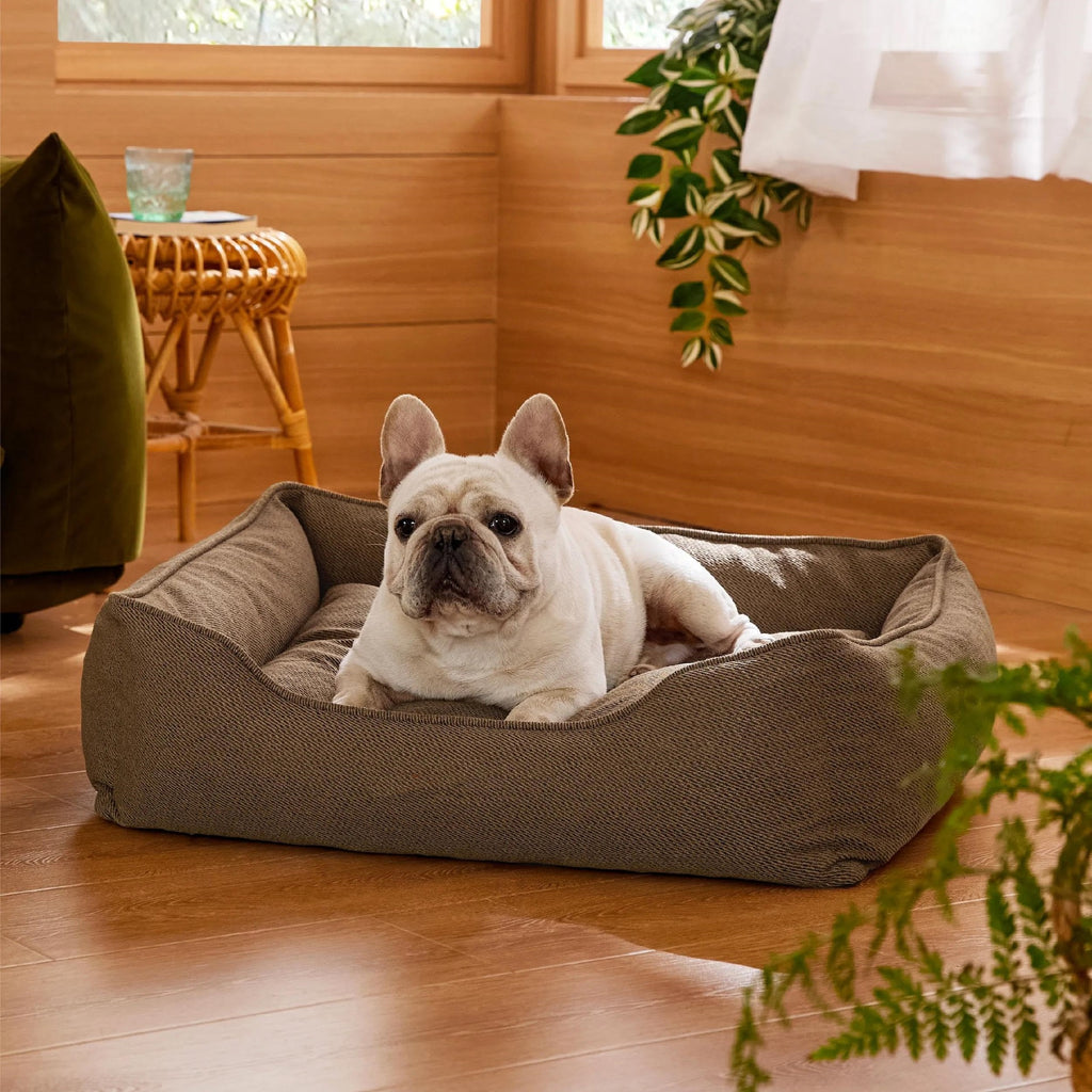 Manufacturer wholesale bite-resistant four-season warm pet bed Multifunctional Folding Detachable Pet Sofa Cat Dog Mat