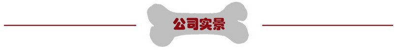 Dog Weighted Exercise Collar Multi-Functional Explosion-Proof Collar Weight Training Collar Large Dog Weighted Training Collar