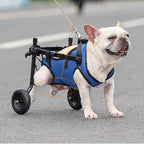 Cross-Border Pet Dog Disability Scooter Cat Dog Walker Dog Assistive Walking Cart Pet Dog Mobility Scooter