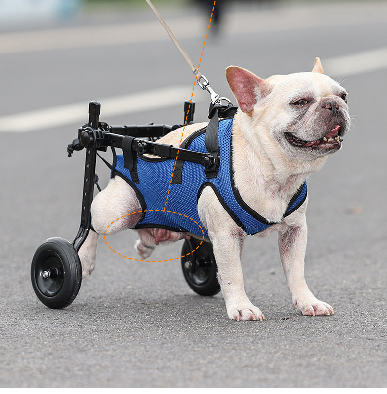 Cross-Border Pet Dog Disability Scooter Cat Dog Walker Dog Assistive Walking Cart Pet Dog Mobility Scooter