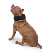 Dog Weighted Exercise Collar Multi-Functional Explosion-Proof Collar Weight Training Collar Large Dog Weighted Training Collar