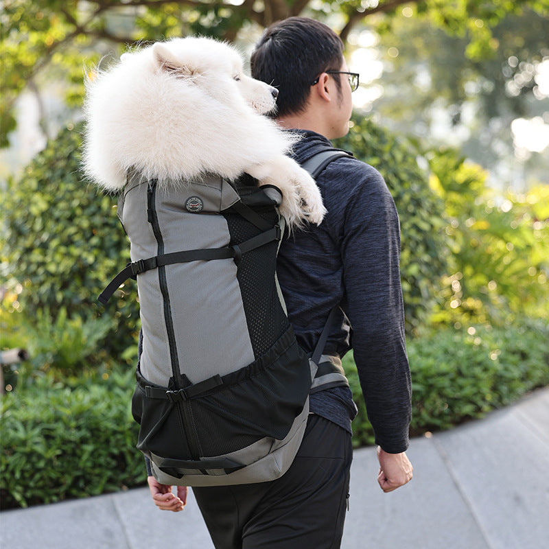 Portable Breathable Dog Backpack Scratch-Resistant Pet Bag Outdoor Pet Backpack Foldable Breathable Medium and Large Dog Bag