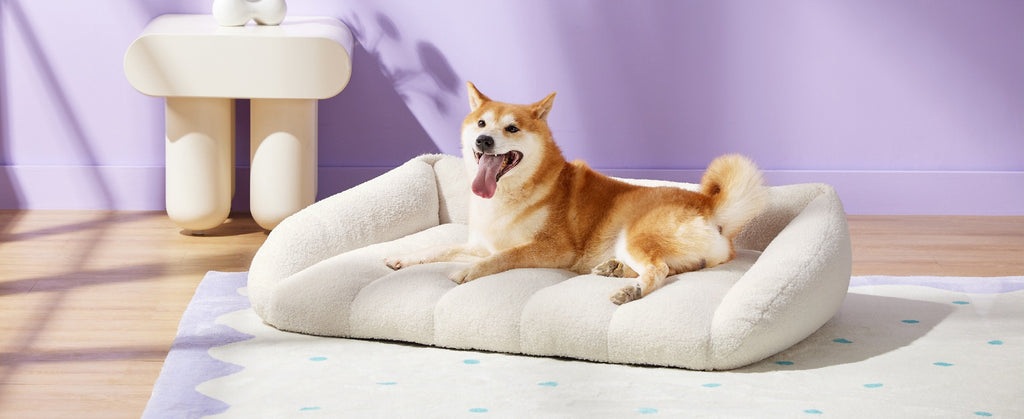 Amazon Bestselling Pet All-Season Sofa Bed Cushion Rectangular Lamb Wool Cat Bed Dog Bed Sofa Cushion