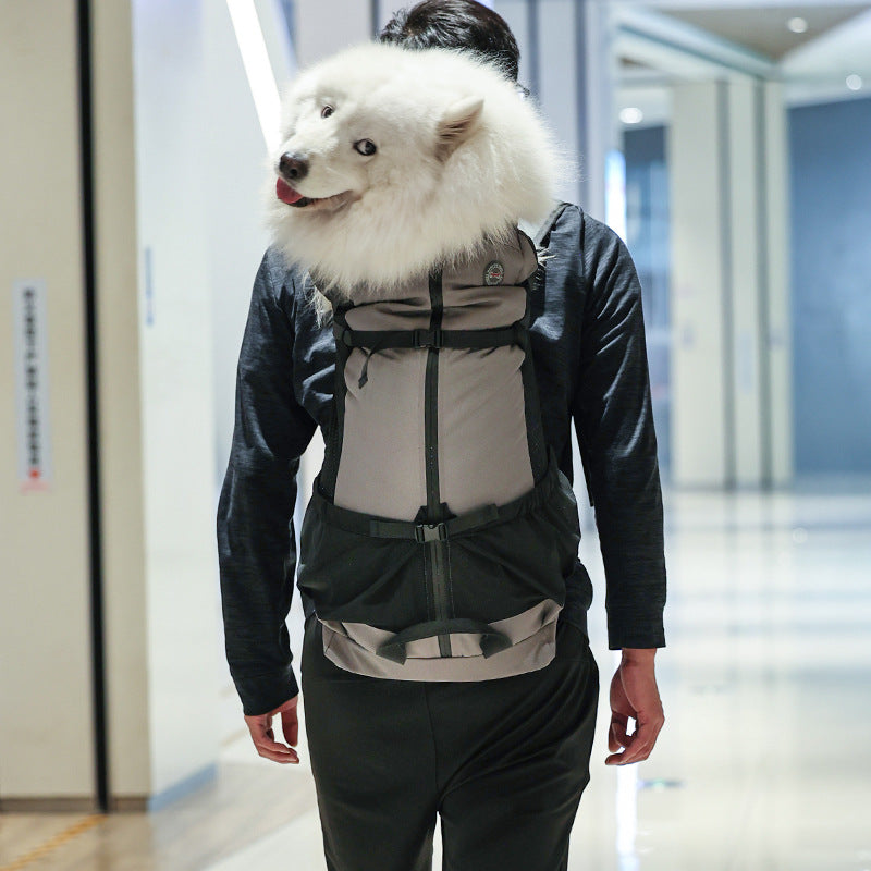 Portable Breathable Dog Backpack Scratch-Resistant Pet Bag Outdoor Pet Backpack Foldable Breathable Medium and Large Dog Bag