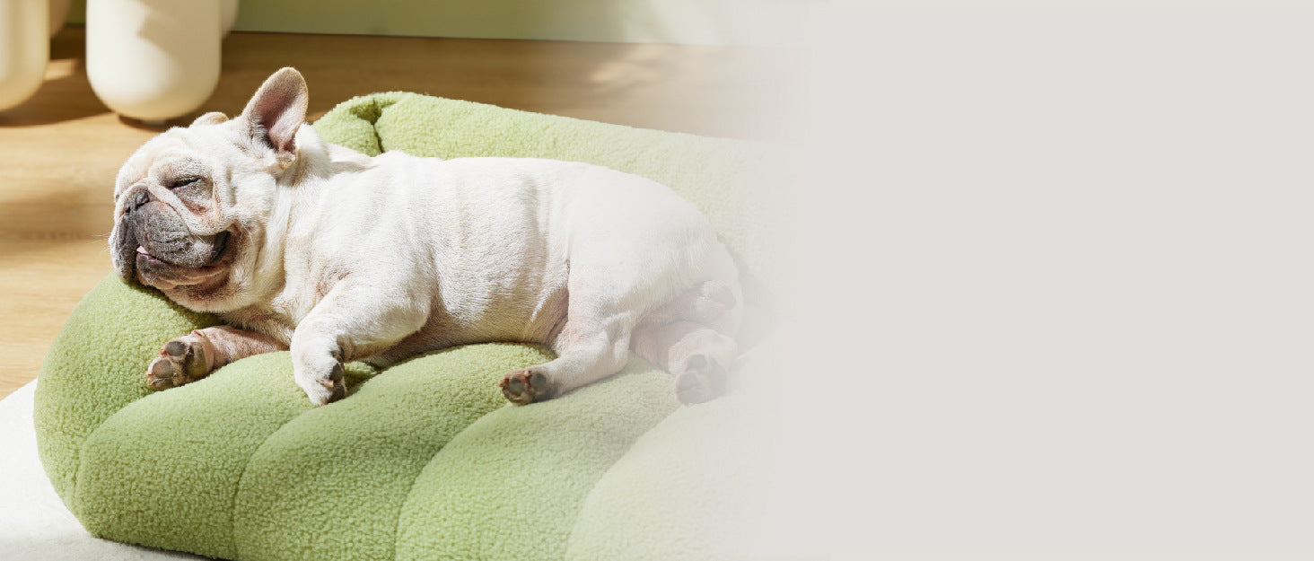 Amazon Bestselling Pet All-Season Sofa Bed Cushion Rectangular Lamb Wool Cat Bed Dog Bed Sofa Cushion