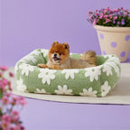 Pet Manufacturer Direct Sale Pet Supplies Amazon Hot-Selling Pet Dog House Cat House Four Seasons Warm Plush Pet House