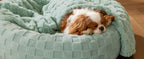 New Pet Bed High Weight Peach Heart Soft Cotton Plush Pet Mat Long Plush Round Cat Bed Winter Warm Dog Bed