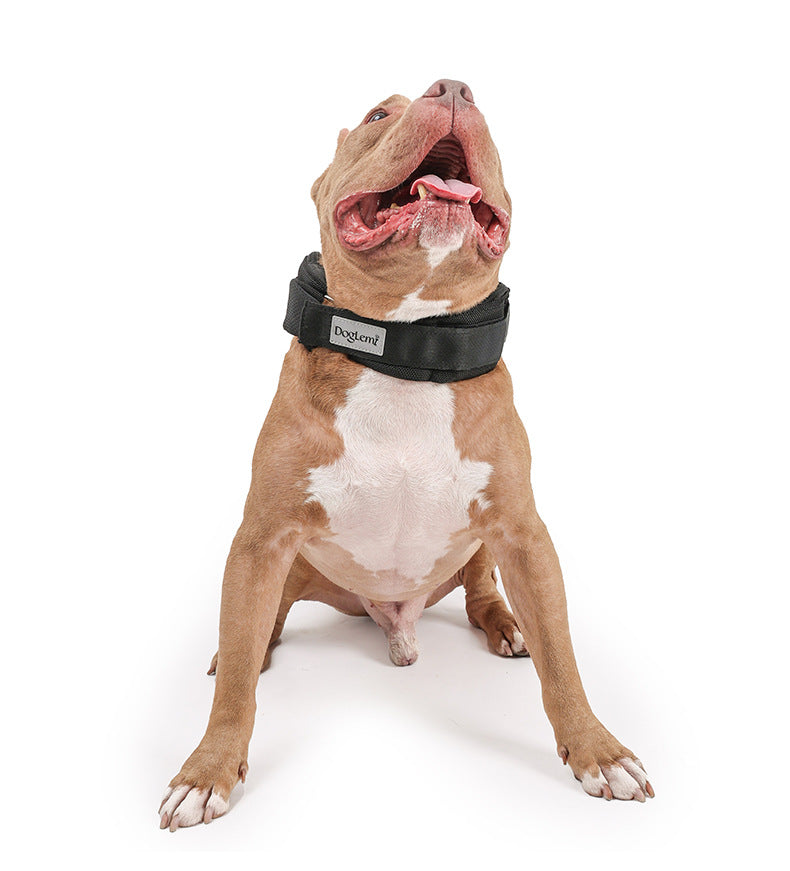 Dog Weighted Exercise Collar Multi-Functional Explosion-Proof Collar Weight Training Collar Large Dog Weighted Training Collar