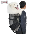 Portable Breathable Dog Backpack Scratch-Resistant Pet Bag Outdoor Pet Backpack Foldable Breathable Medium and Large Dog Bag