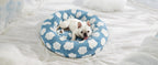 Factory Direct Sale Amazon Hot Selling Dog House Cat House Pet Round House All-Season Universal Warm Pet House for Cats and Dogs