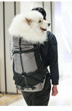 Portable Breathable Dog Backpack Scratch-Resistant Pet Bag Outdoor Pet Backpack Foldable Breathable Medium and Large Dog Bag