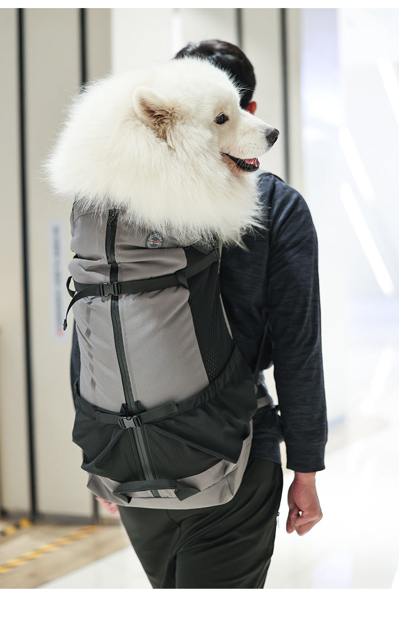 Portable Breathable Dog Backpack Scratch-Resistant Pet Bag Outdoor Pet Backpack Foldable Breathable Medium and Large Dog Bag
