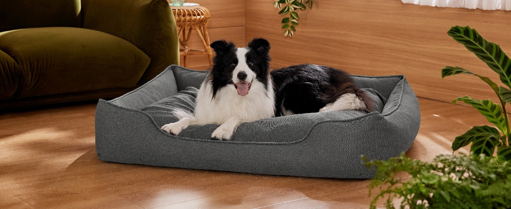 Manufacturer wholesale bite-resistant four-season warm pet bed Multifunctional Folding Detachable Pet Sofa Cat Dog Mat
