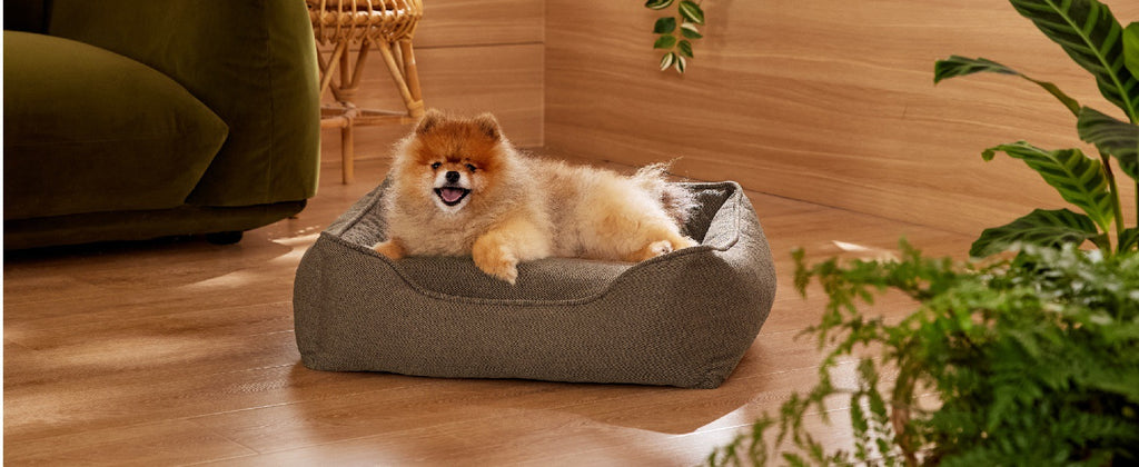 Manufacturer wholesale bite-resistant four-season warm pet bed Multifunctional Folding Detachable Pet Sofa Cat Dog Mat