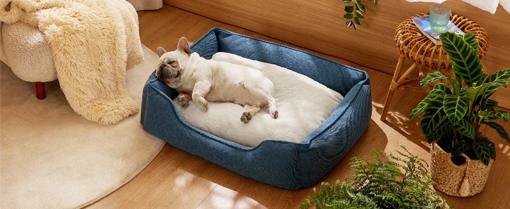 Manufacturer wholesale bite-resistant four-season warm pet bed Multifunctional Folding Detachable Pet Sofa Cat Dog Mat