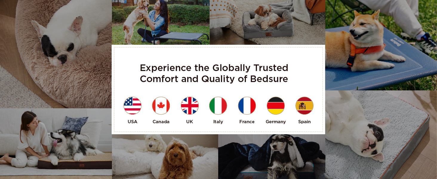Manufacturer wholesale bite-resistant four-season warm pet bed Multifunctional Folding Detachable Pet Sofa Cat Dog Mat