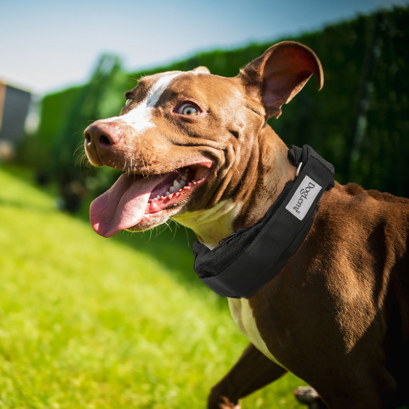 Dog Weighted Exercise Collar Multi-Functional Explosion-Proof Collar Weight Training Collar Large Dog Weighted Training Collar
